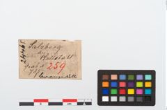 Etikett zu Bronzetülle (NHMW-PRAE-024465)